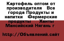 Картофель оптом от производителя - Все города Продукты и напитки » Фермерские продукты   . Ханты-Мансийский,Нягань г.